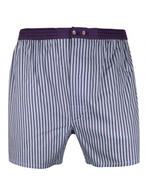 Blue boxer short with purple stripes