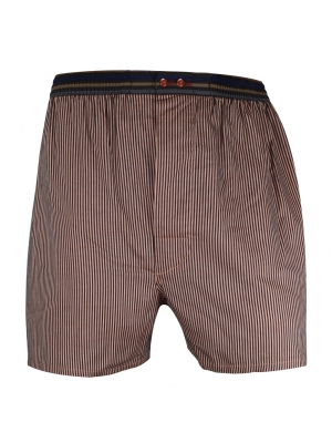 Brown boxer short with stripes