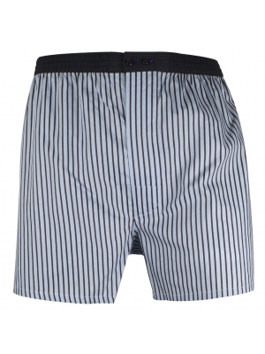 Blue boxer short with brown stripes