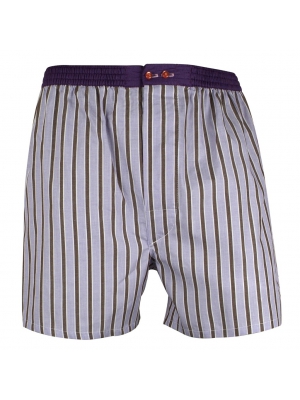 Blue boxer short with brown stripes