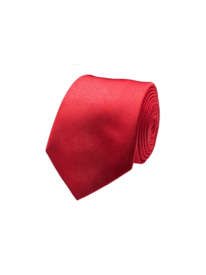 Plain red tie
