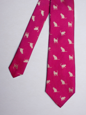 Magenta tie with grey cats patterns