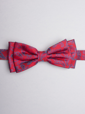 Red bow tie with blue cashmere patterns