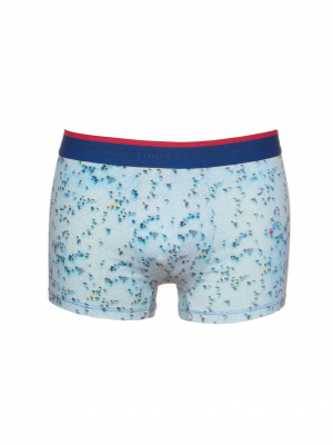 Trunks with swimming pool print