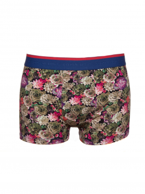 Trunks with succulent plant print